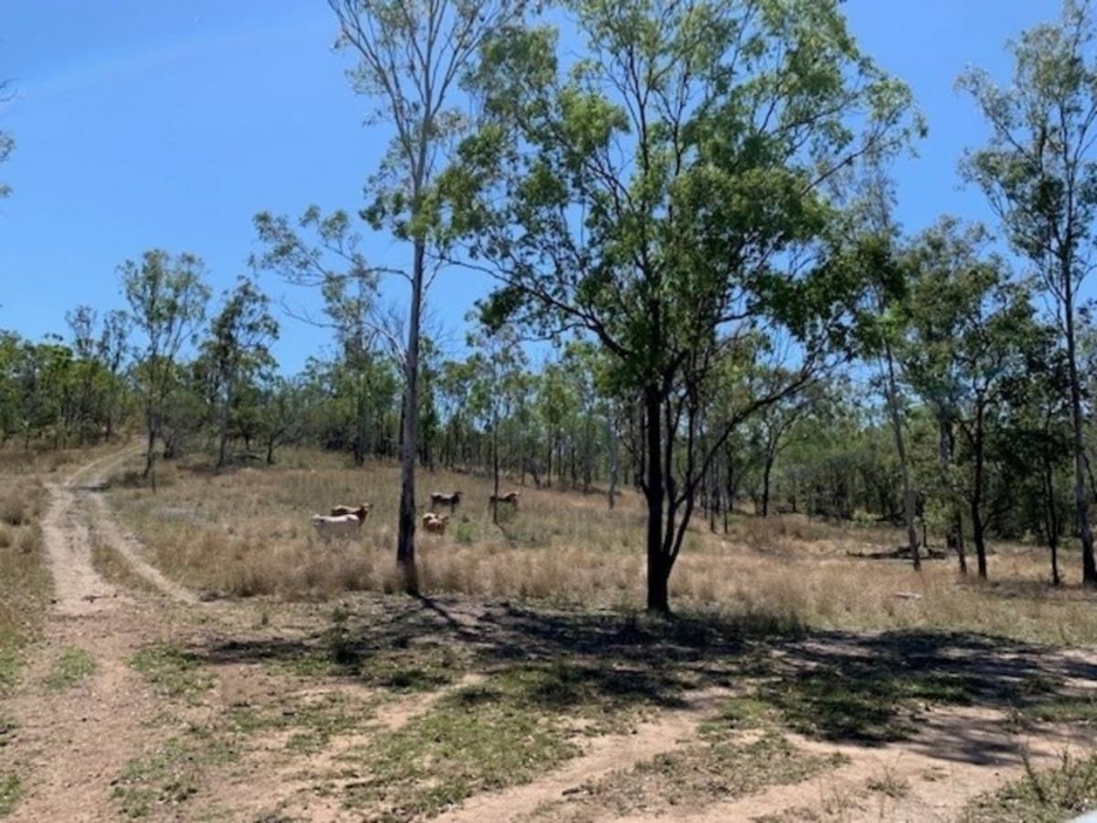 Lots 60 & 61 Neil Creek Road, CALLIOPE, QLD, Calliope - Image 1