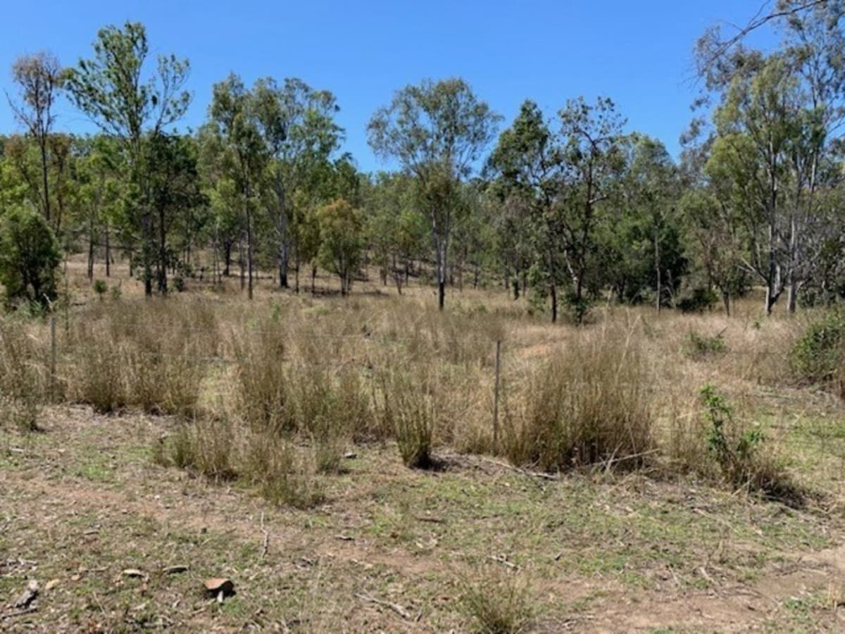 Lots 60 & 61 Neil Creek Road, CALLIOPE, QLD, Calliope - Thumbnail 3