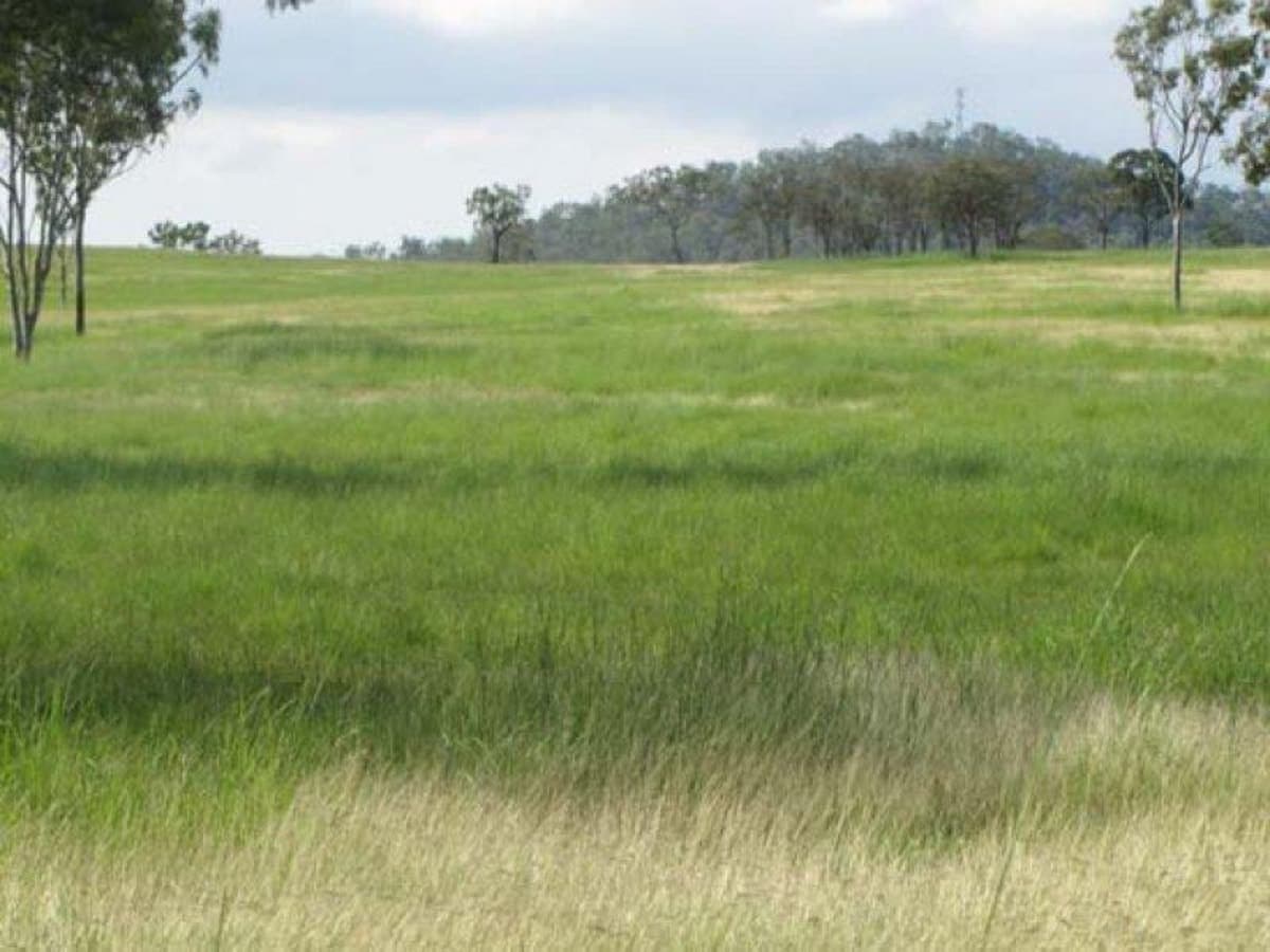 CALLIOPE, QLD, Calliope - Thumbnail 2