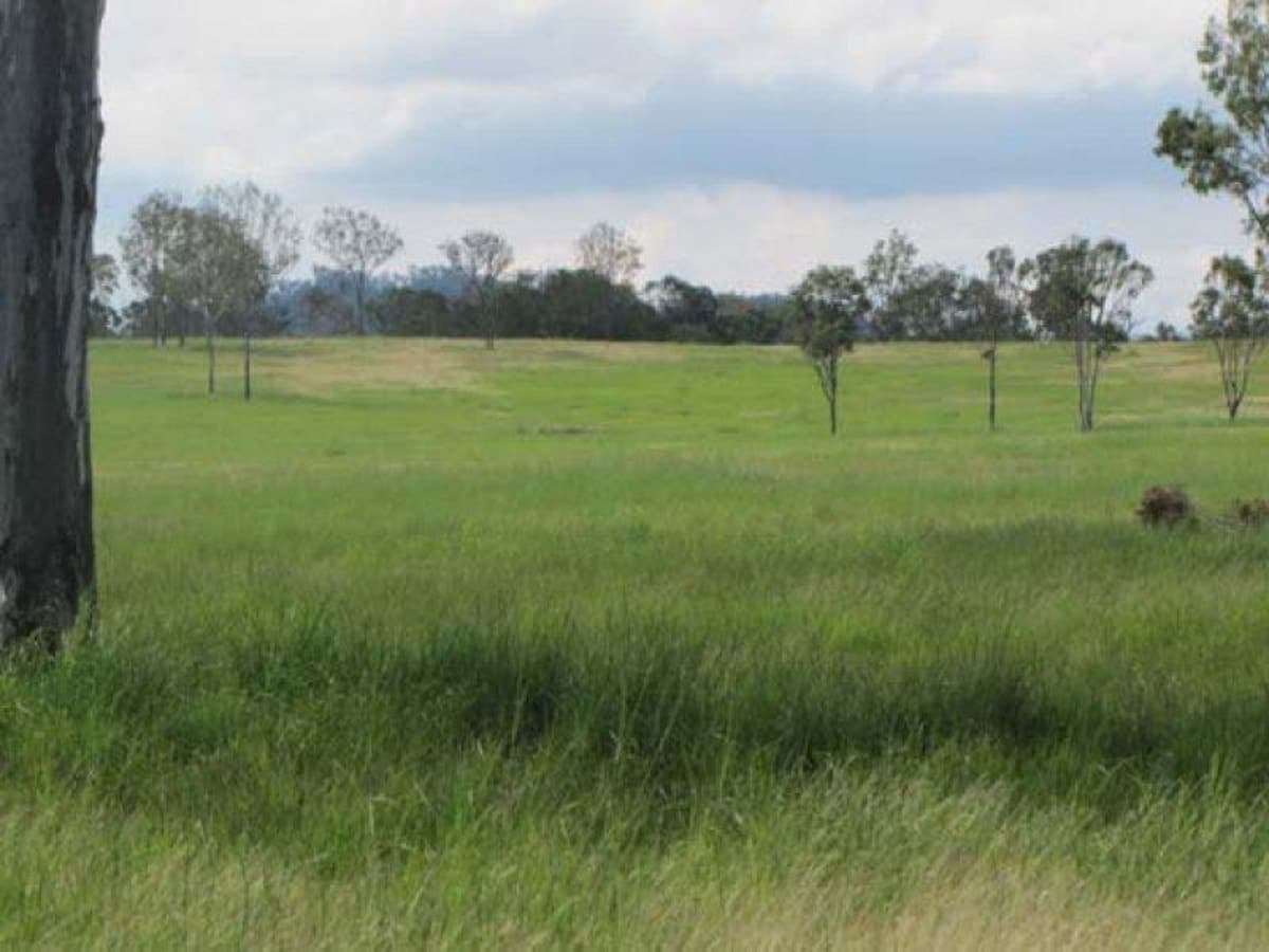 CALLIOPE, QLD, Calliope - Thumbnail 3