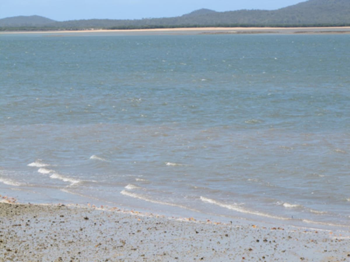 5 Worthington Street, TURKEY BEACH, QLD, Turkey Beach - Thumbnail 3