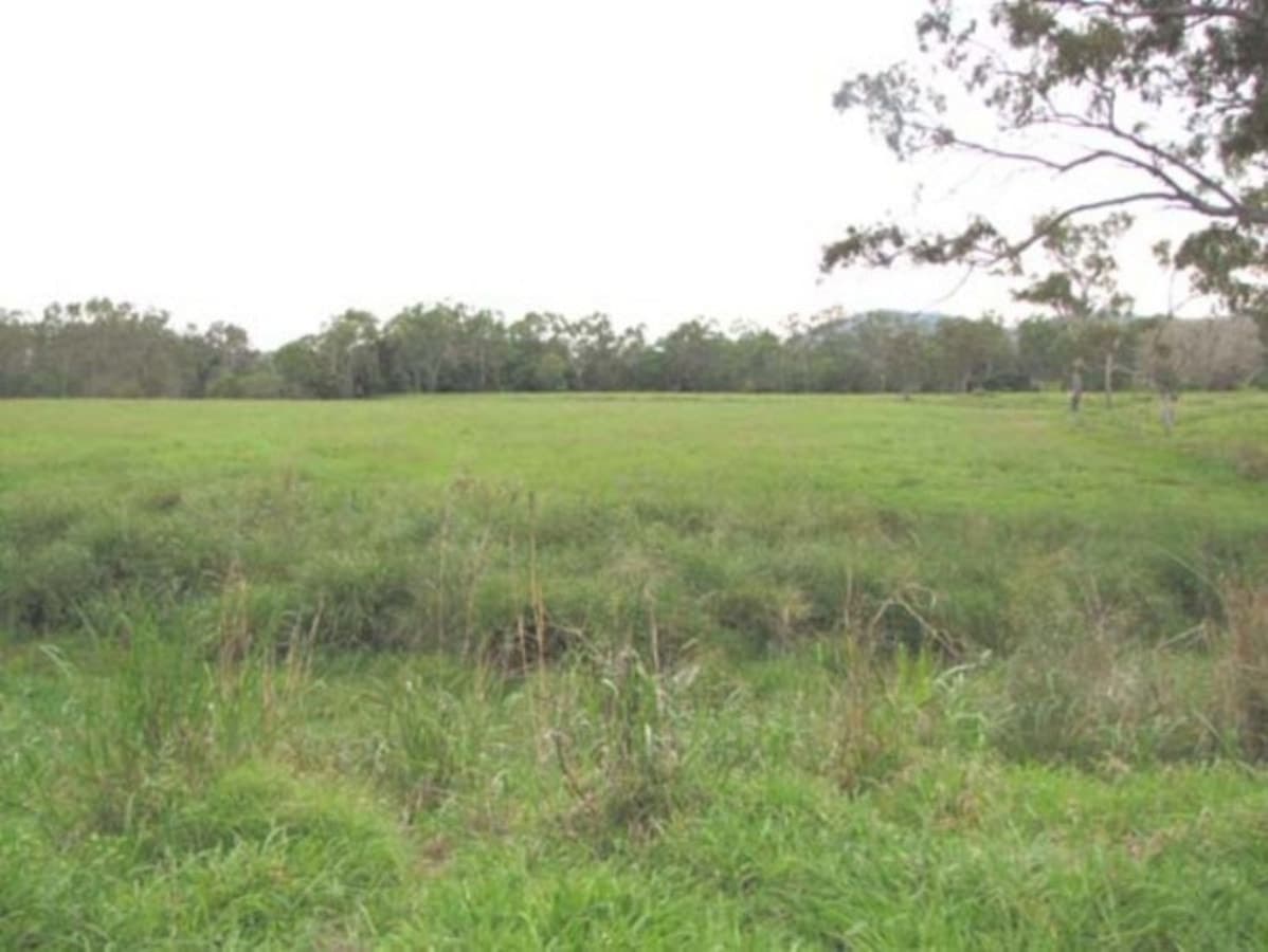 00 Raglan Station Road, MOUNT LARCOM, QLD, Mount Larcom - Image 1
