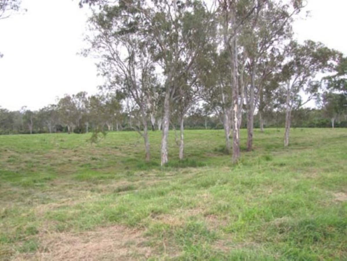 00 Raglan Station Road, MOUNT LARCOM, QLD, Mount Larcom - Thumbnail 2