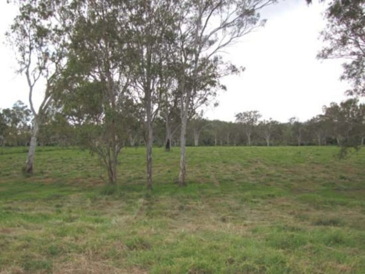 00 Raglan Station Road, MOUNT LARCOM, QLD, Mount Larcom - Thumbnail 3