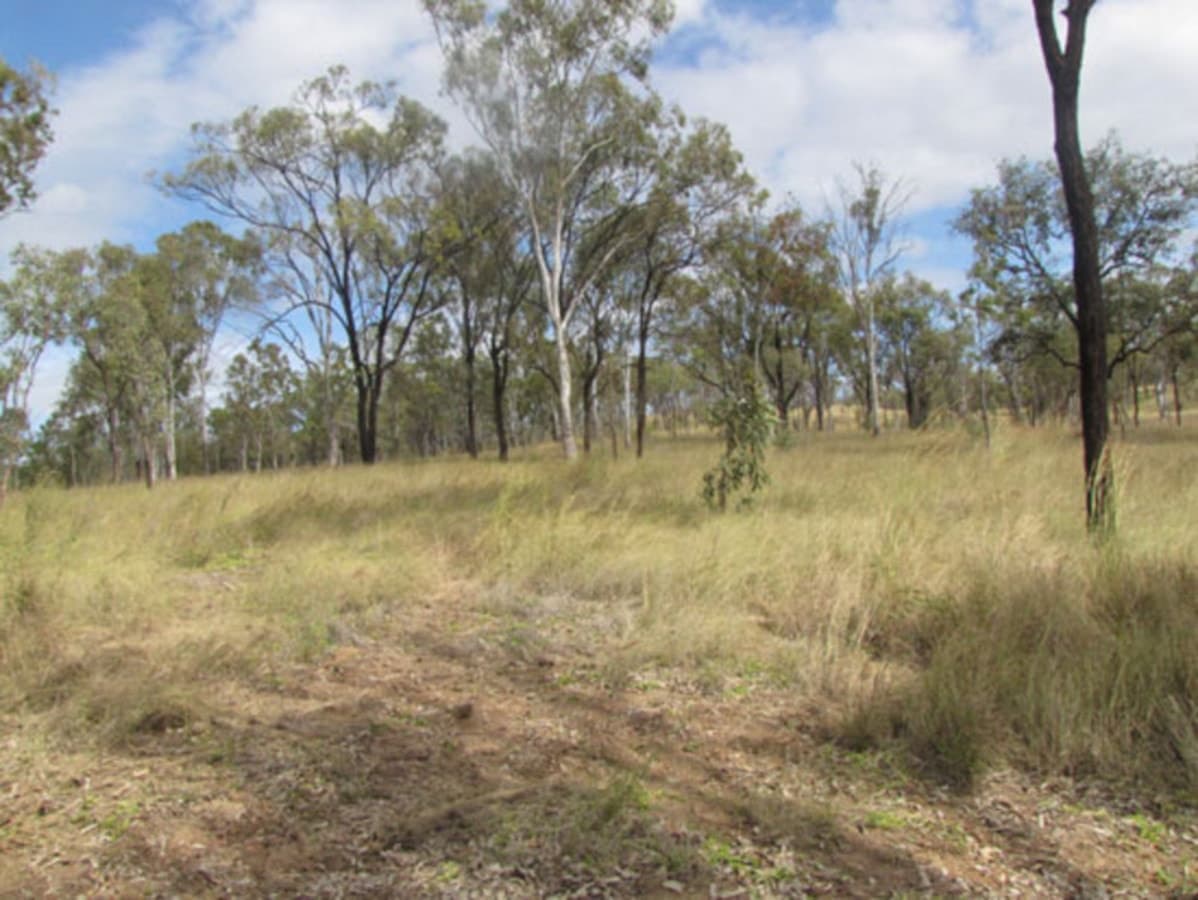 00 Taragoola Road, CALLIOPE, QLD, Calliope - Thumbnail 2