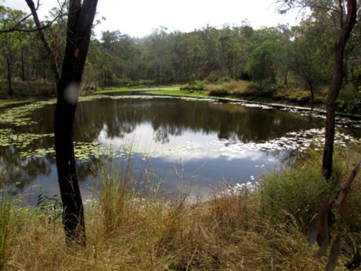 00 Taragoola Road, CALLIOPE, QLD, Calliope - Thumbnail 3