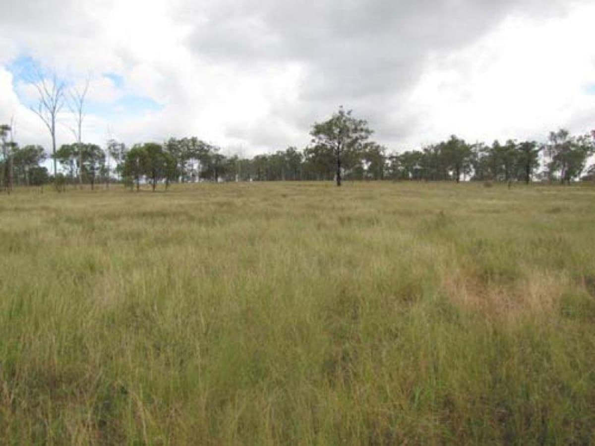 00 Willmott Road, MOUNT LARCOM, QLD, Mount Larcom - Image 1