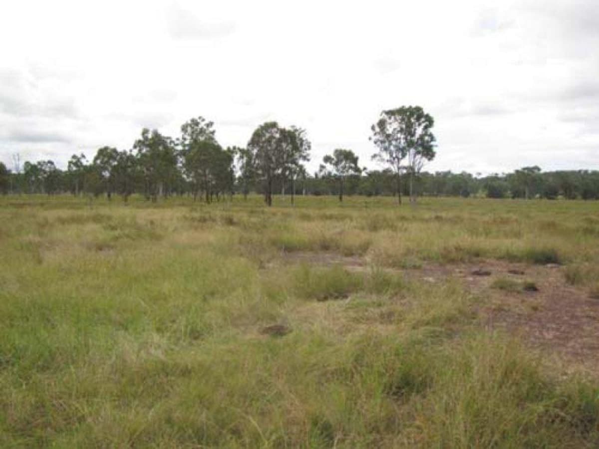 00 Willmott Road, MOUNT LARCOM, QLD, Mount Larcom - Thumbnail 2