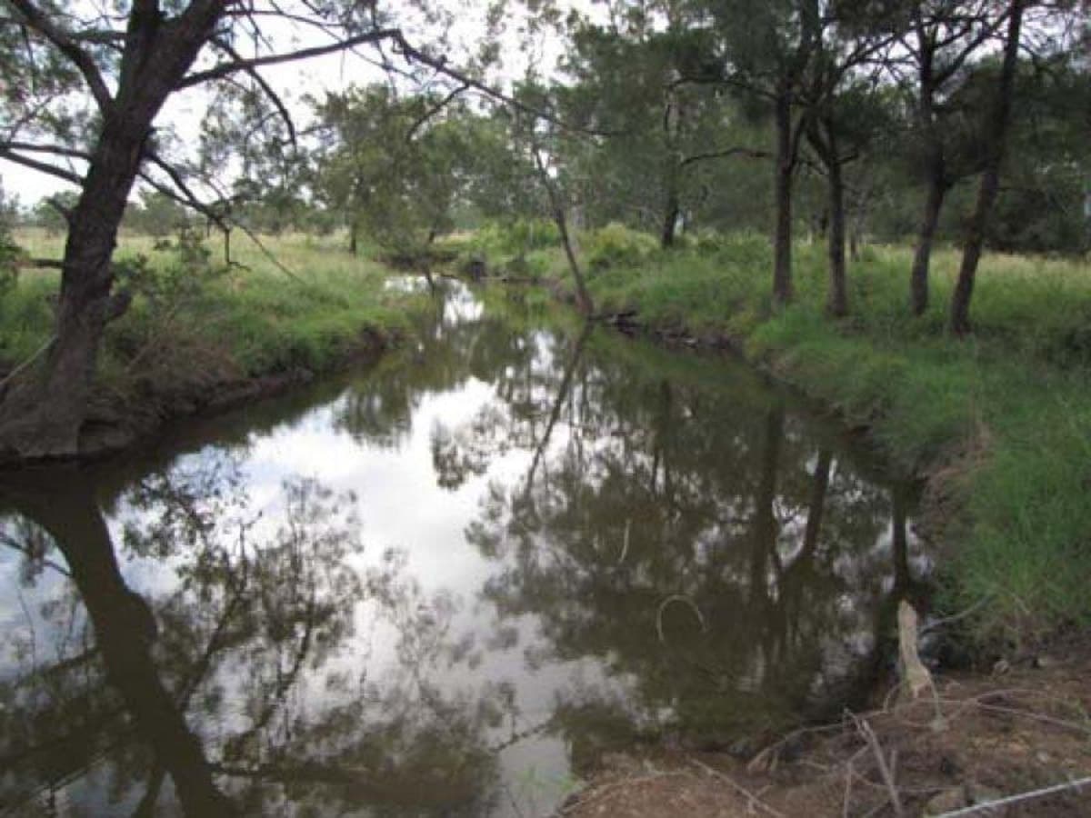00 Willmott Road, MOUNT LARCOM, QLD, Mount Larcom - Thumbnail 3