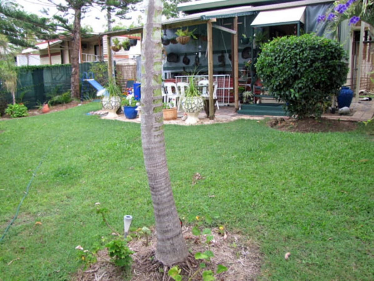 Site Calliope Caravan Park Stowe Road, CALLIOPE, QLD, Calliope - Thumbnail 3