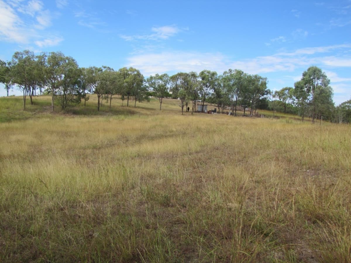720 Taragoola Road, CALLIOPE, QLD, Calliope - Image 1