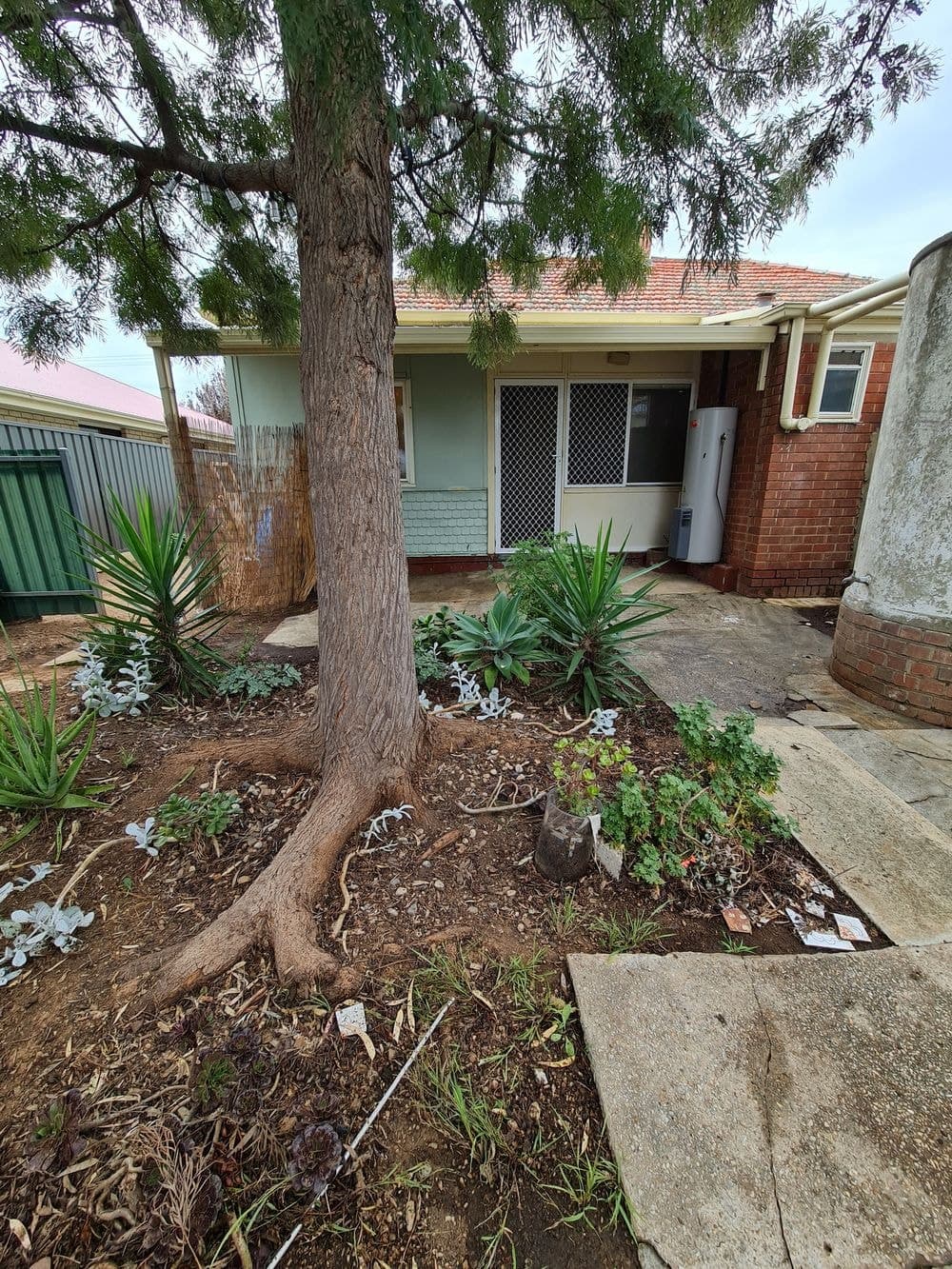 6 Kenilworth Avenue, EDWARDSTOWN, SA 5039, Edwardstown - Thumbnail 8