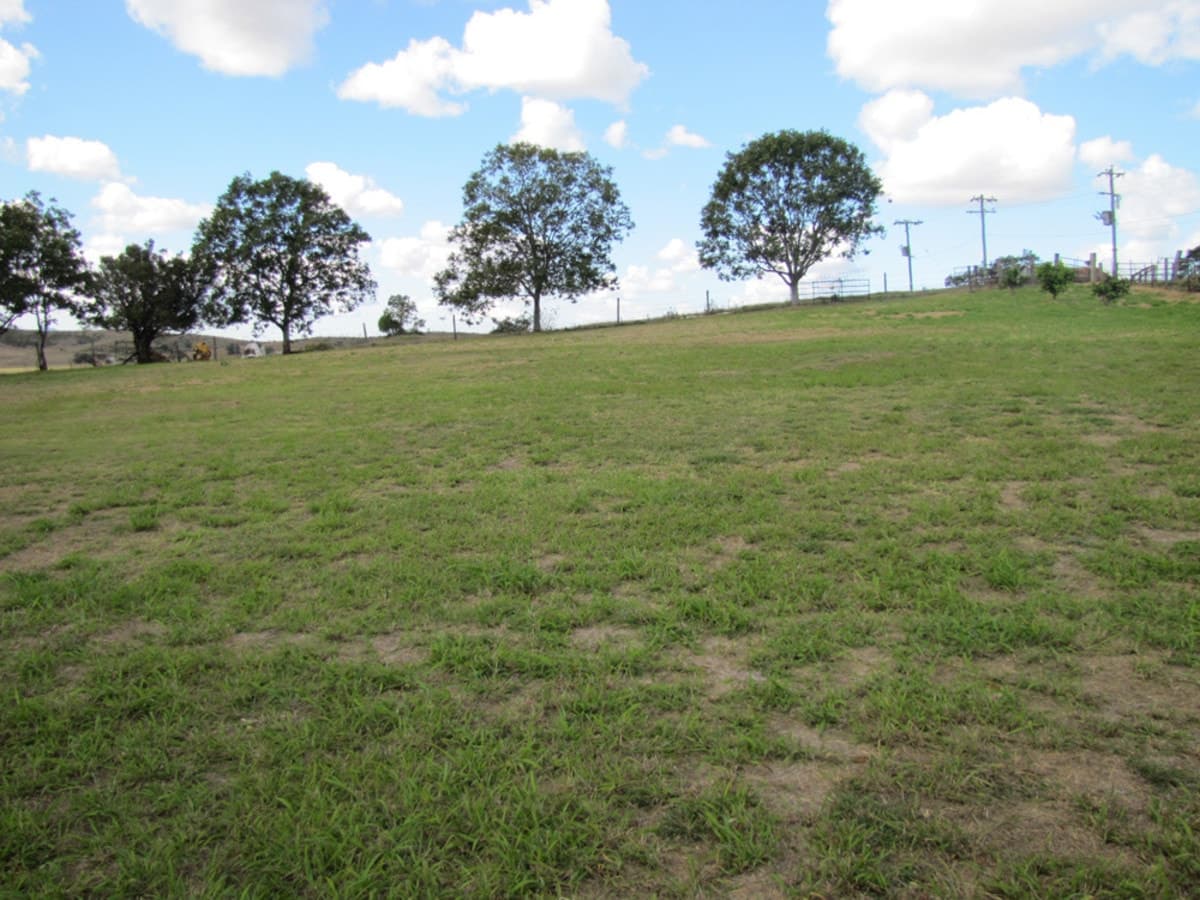 1443 Mount Larcom Bracewell Road, MOUNT LARCOM, QLD, Mount Larcom - Thumbnail 3
