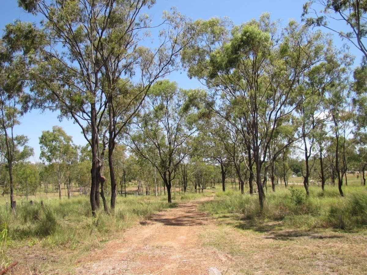 250 Schilling Lane, CALLIOPE, QLD, Calliope - Thumbnail 2