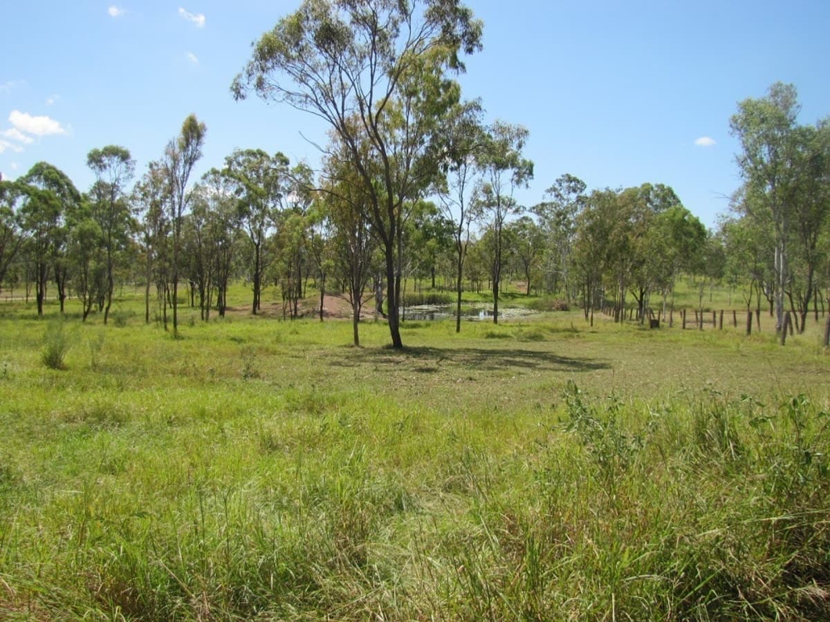 250 Schilling Lane, CALLIOPE, QLD, Calliope - Thumbnail 3