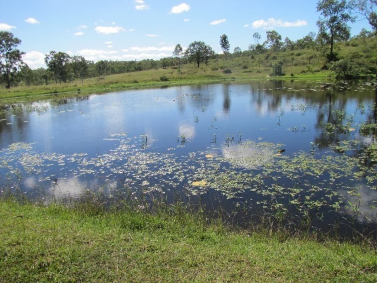 737 Deep Creek Road, CALLIOPE, Calliope - Thumbnail 3