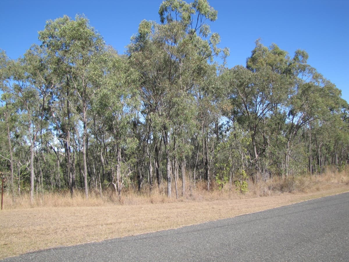 25 Riverview Drive, CALLIOPE, QLD, Calliope - Thumbnail 2