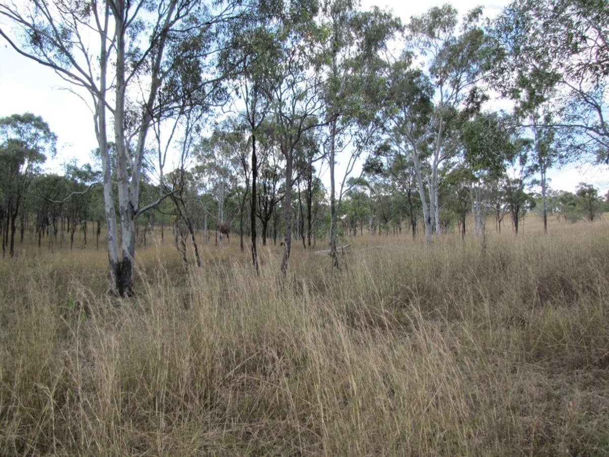00 Off Murray Road & Taragoola Road, CALLIOPE, QLD, Calliope - Thumbnail 3