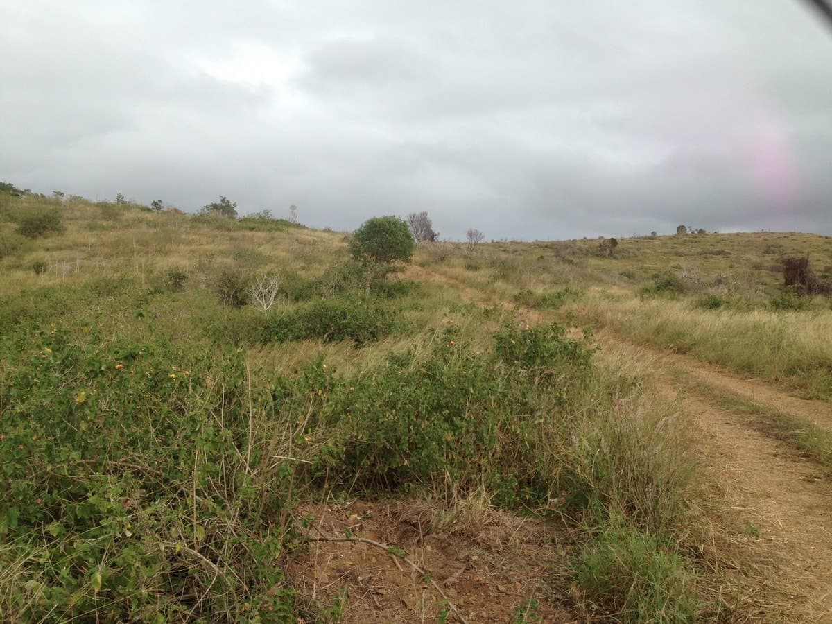 103 Boneham Road (Off Tennis Lane), BRACEWELL, QLD, Bracewell - Image 1