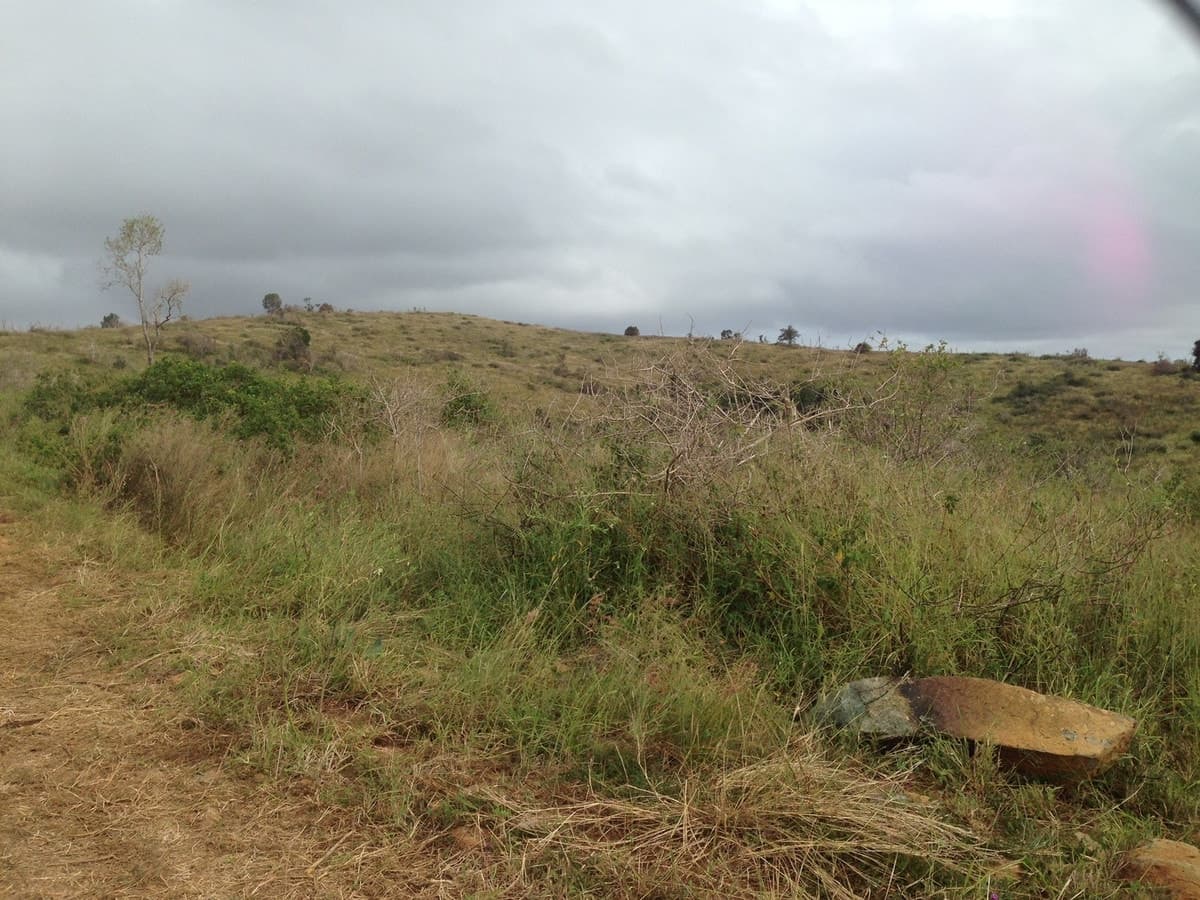 103 Boneham Road (Off Tennis Lane), BRACEWELL, QLD, Bracewell - Thumbnail 2