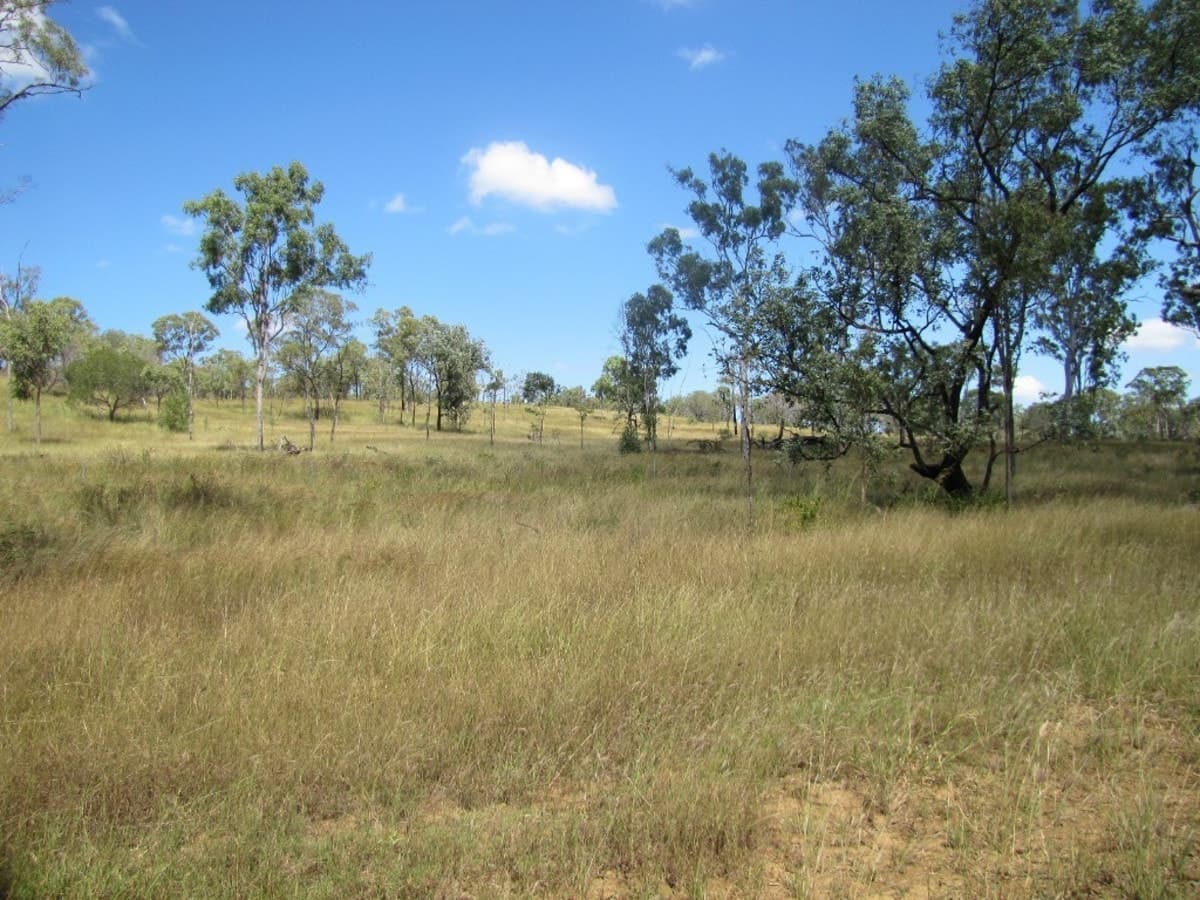 00 Neil Creek Road, CALLIOPE, QLD, Calliope - Image 1
