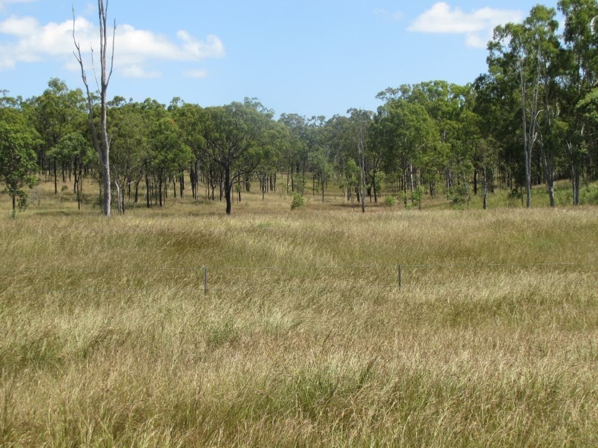 00 Neil Creek Road, CALLIOPE, QLD, Calliope - Thumbnail 3