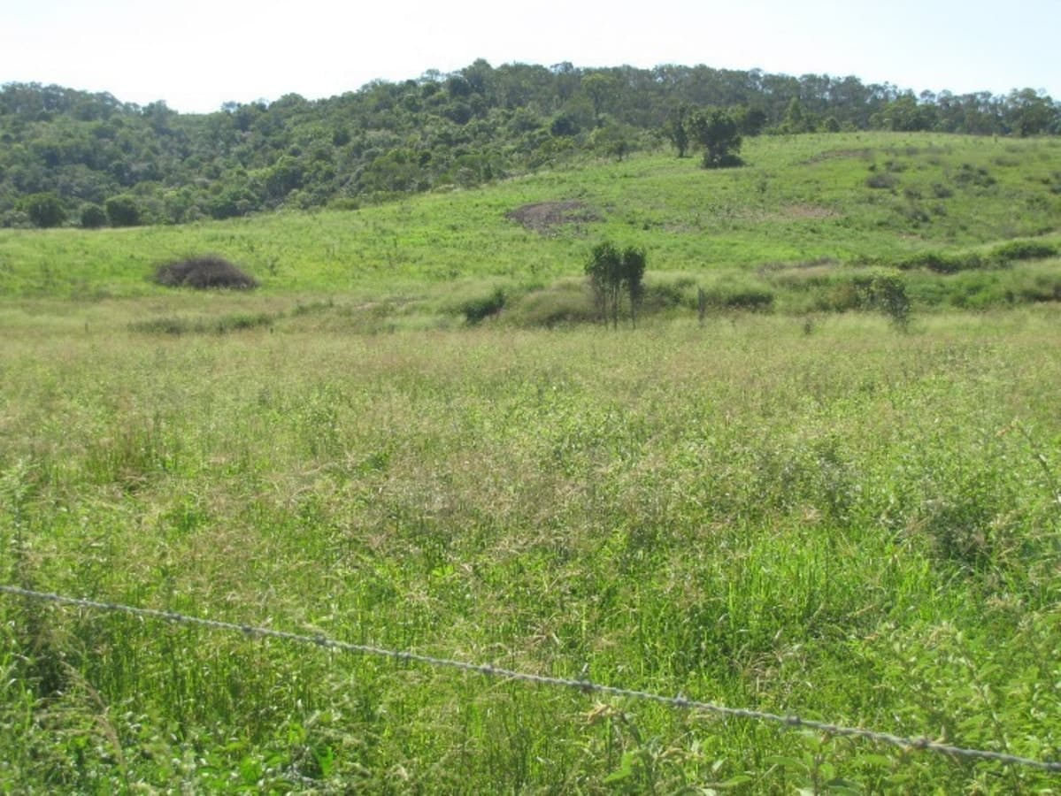 110 Aplin Road, BRACEWELL, Bracewell - Thumbnail 2