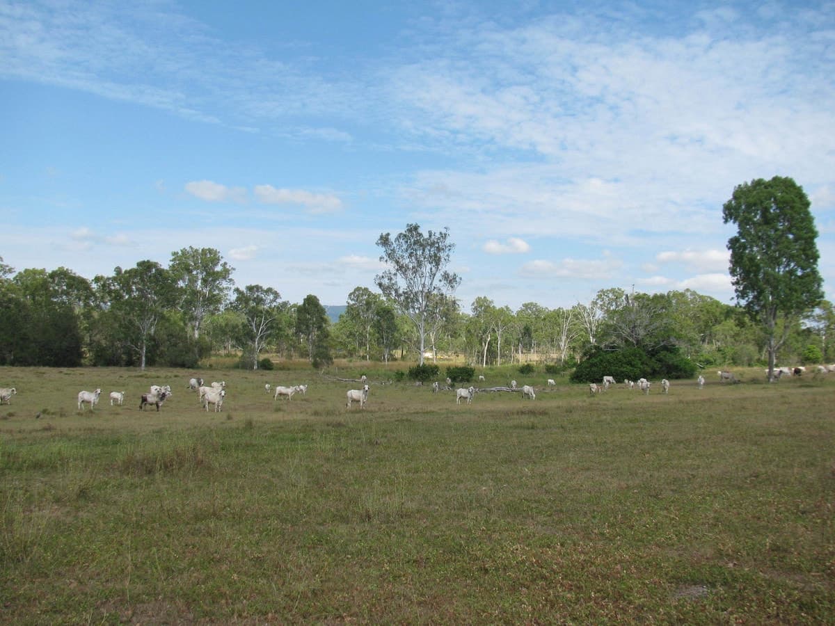 Lot 21 Bruce Highway, MIRIAM VALE, QLD, Miriam Vale - Image 1
