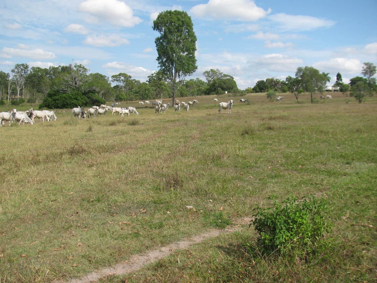 Lot 21 Bruce Highway, MIRIAM VALE, QLD, Miriam Vale - Thumbnail 3