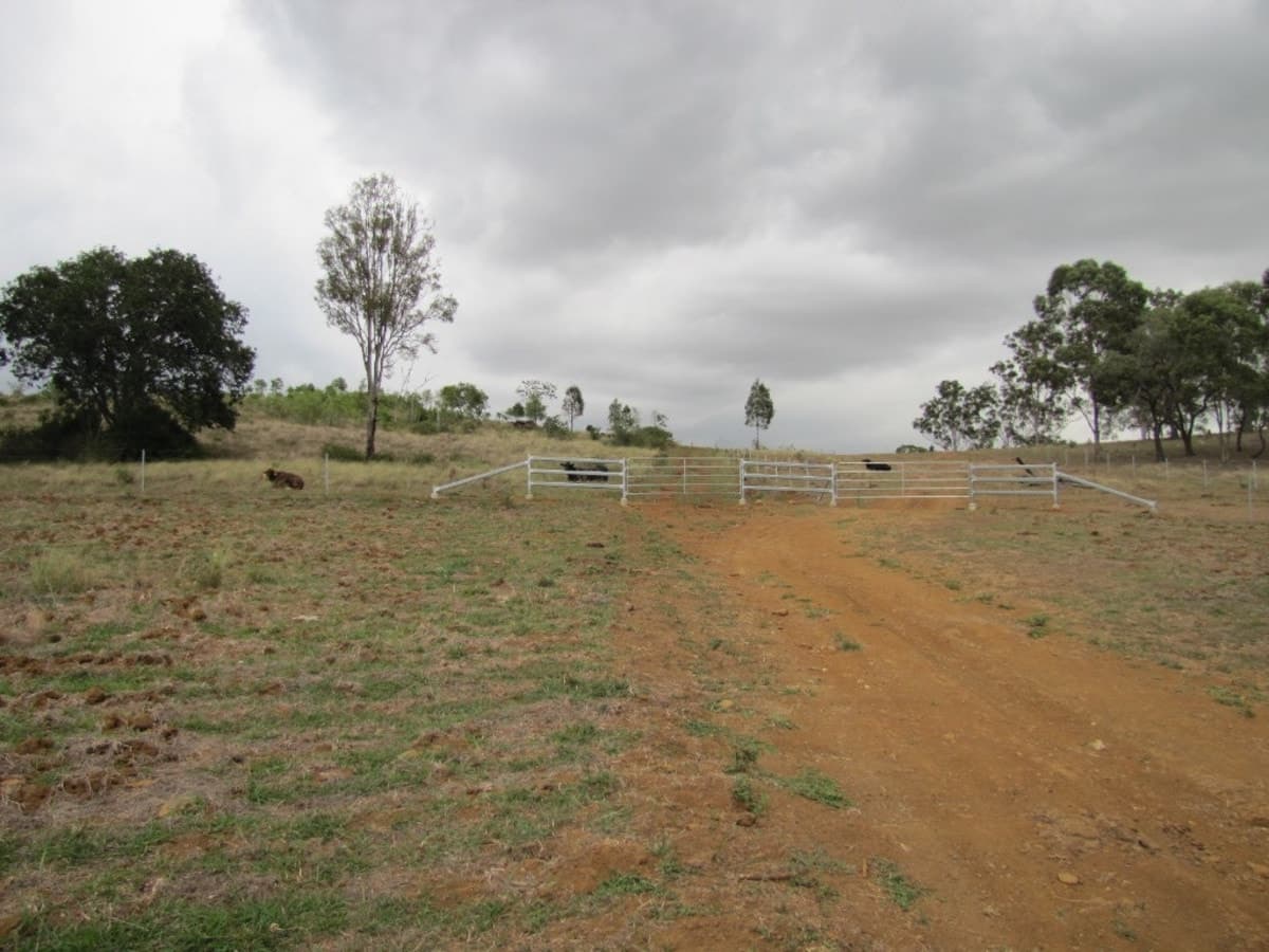 1064 East End Road, MOUNT LARCOM, QLD, Mount Larcom - Image 1