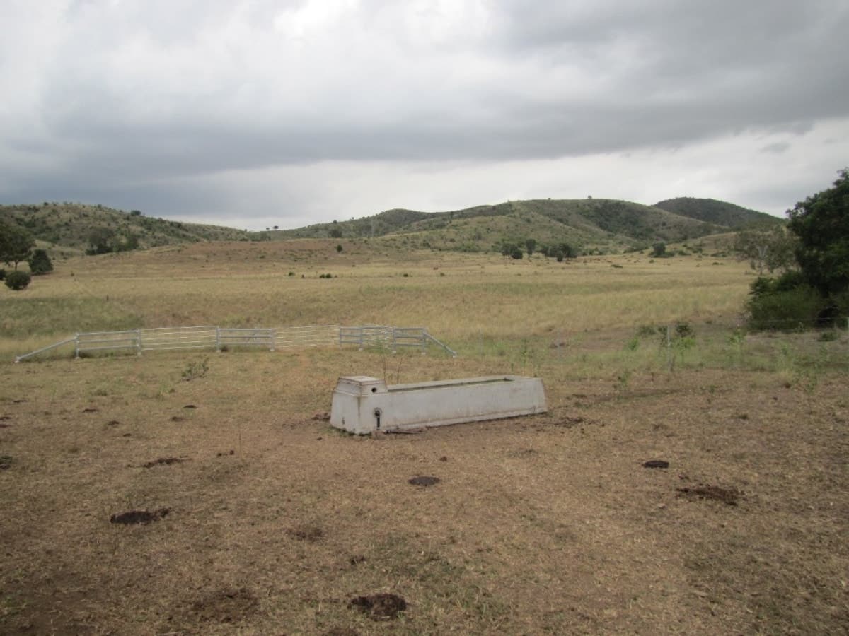 1064 East End Road, MOUNT LARCOM, QLD, Mount Larcom - Thumbnail 2