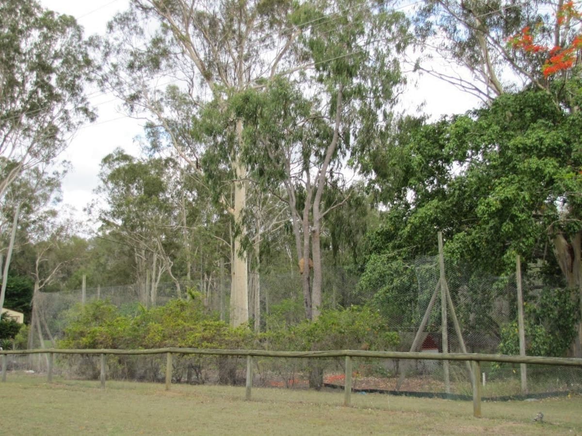33 Chamberlain Road, BURUA, QLD, Burua - Thumbnail 3