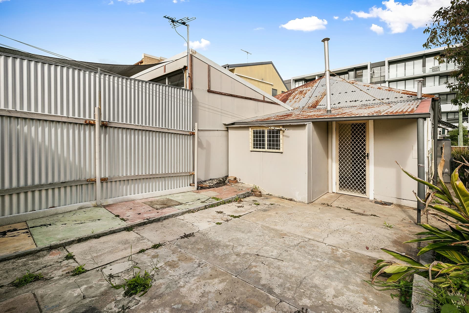 25 Hilly Street, Mortlake - Thumbnail 7