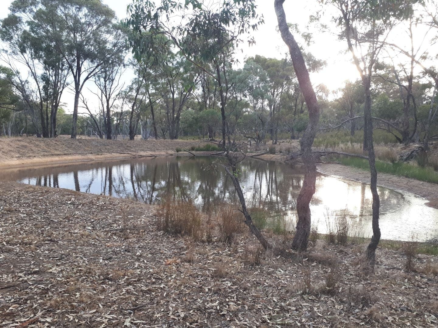 230 Puzzle flat road, bealiba VIC, Land Bealiba 13.79 Acres - Image 1