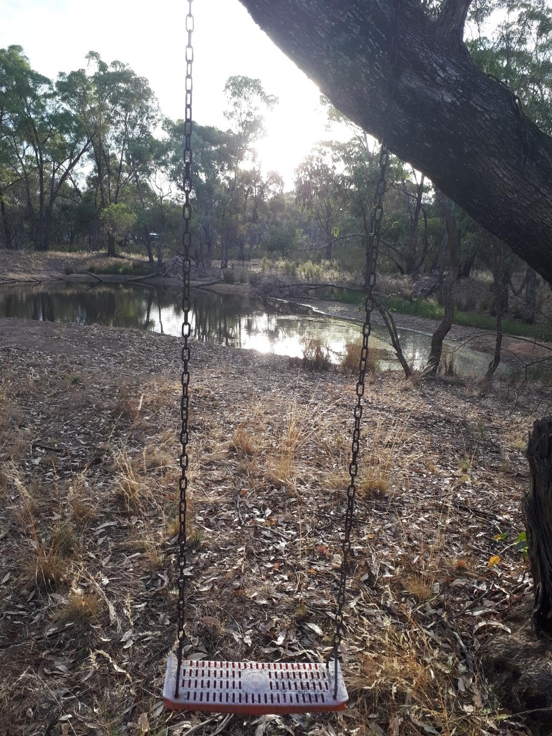 LAND BEALIBA 13.79 acres, VIC, Land Bealiba 13.79 Acres - Thumbnail 4