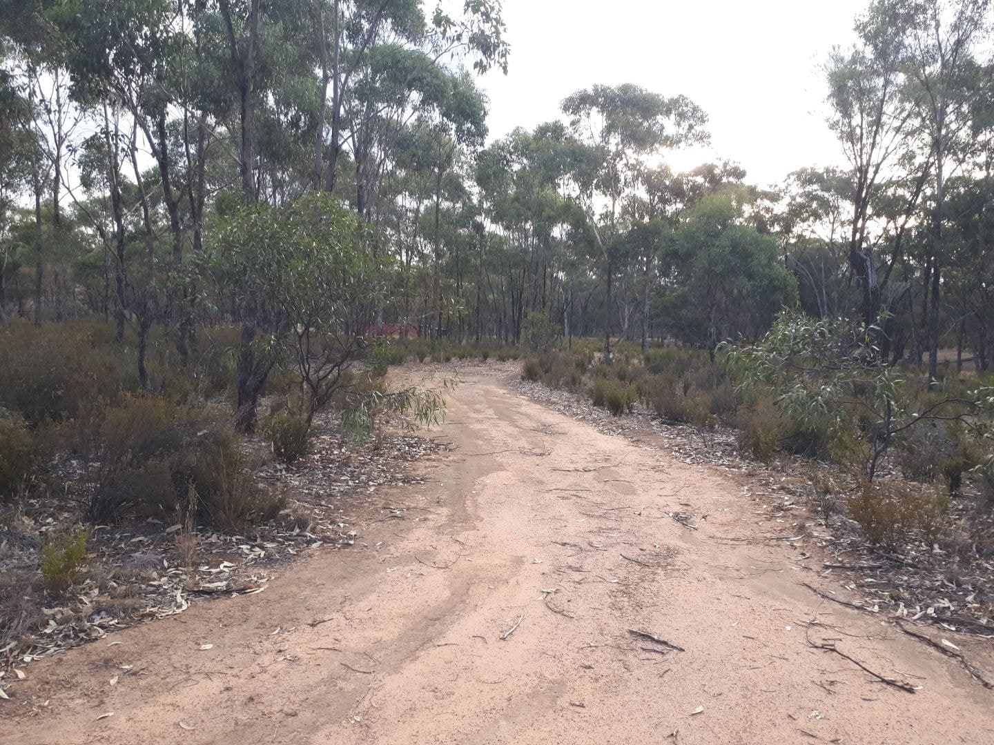 LAND BEALIBA 13.79 acres, VIC, Land Bealiba 13.79 Acres - Thumbnail 5