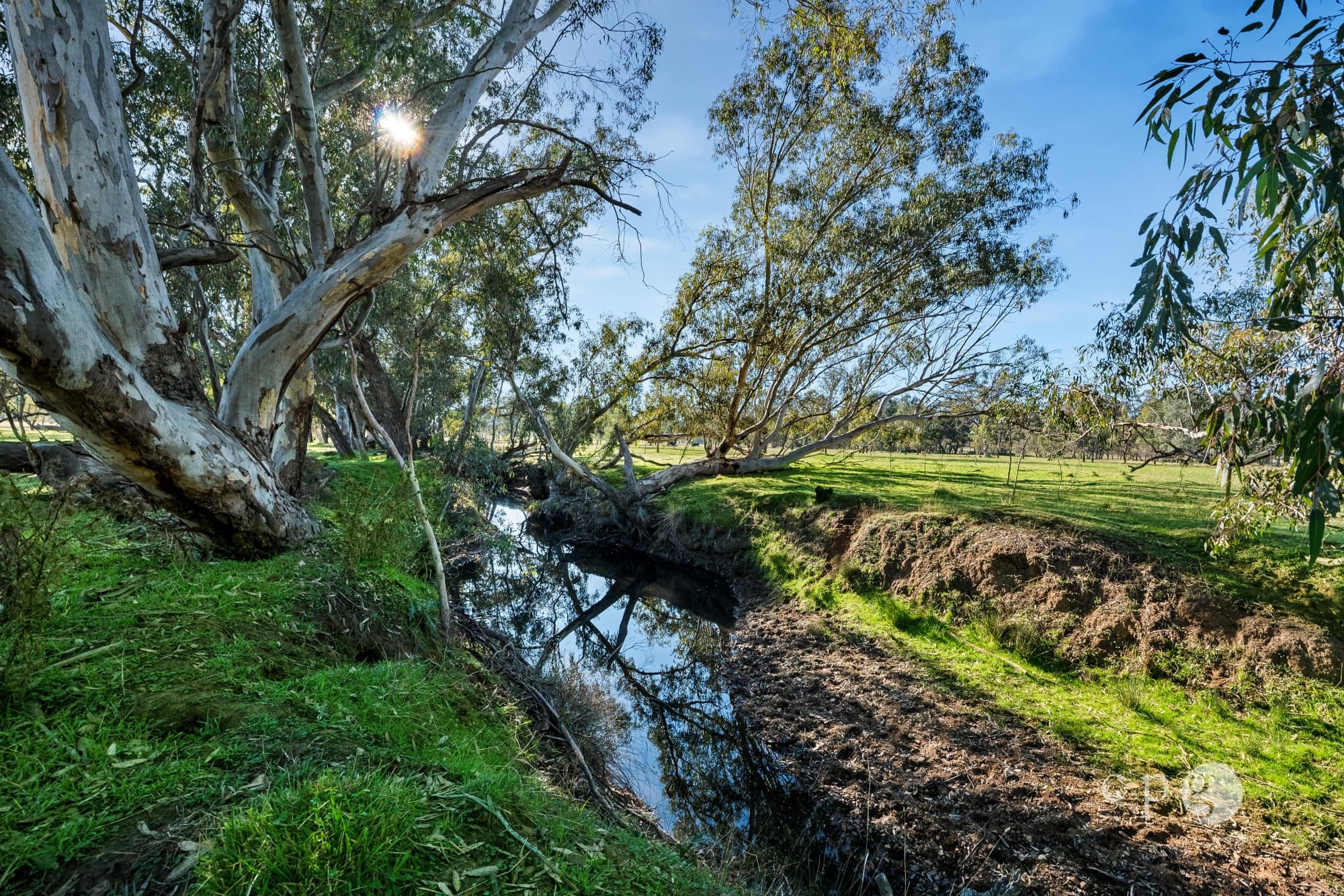 283 Troys Road, WALMER, VIC 3463, Walmer - Thumbnail 6