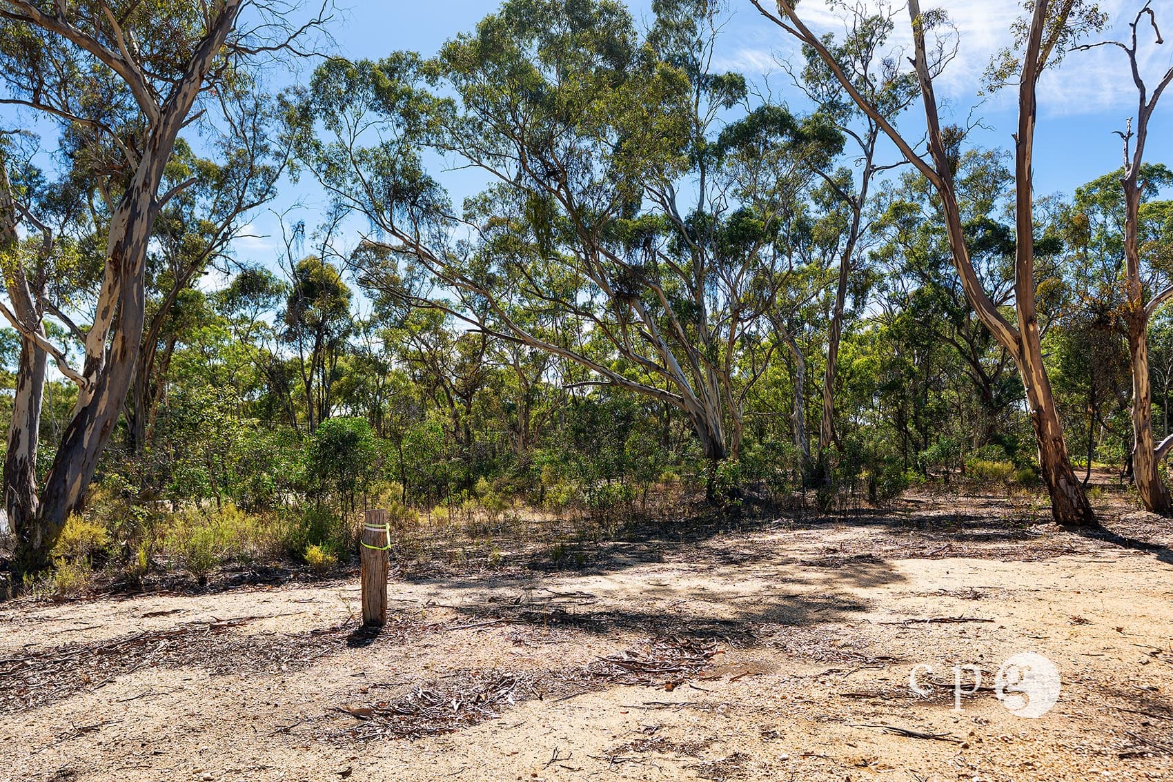 1161 Castlemaine-Maldon Road, MALDON, VIC 3463, Maldon - Thumbnail 2