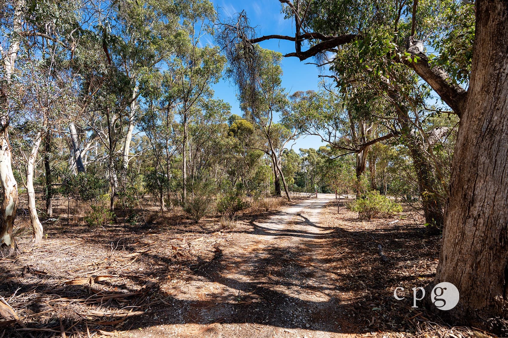 1161 Castlemaine-Maldon Road, MALDON, VIC 3463, Maldon - Thumbnail 3