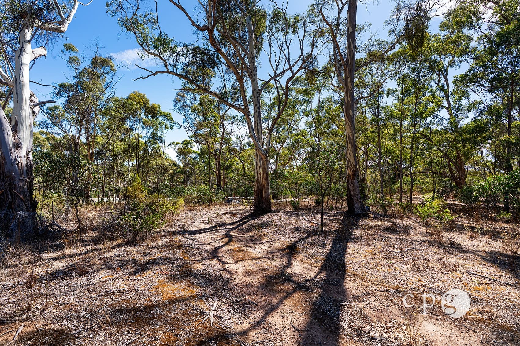 1161 Castlemaine-Maldon Road, MALDON, VIC 3463, Maldon - Thumbnail 4