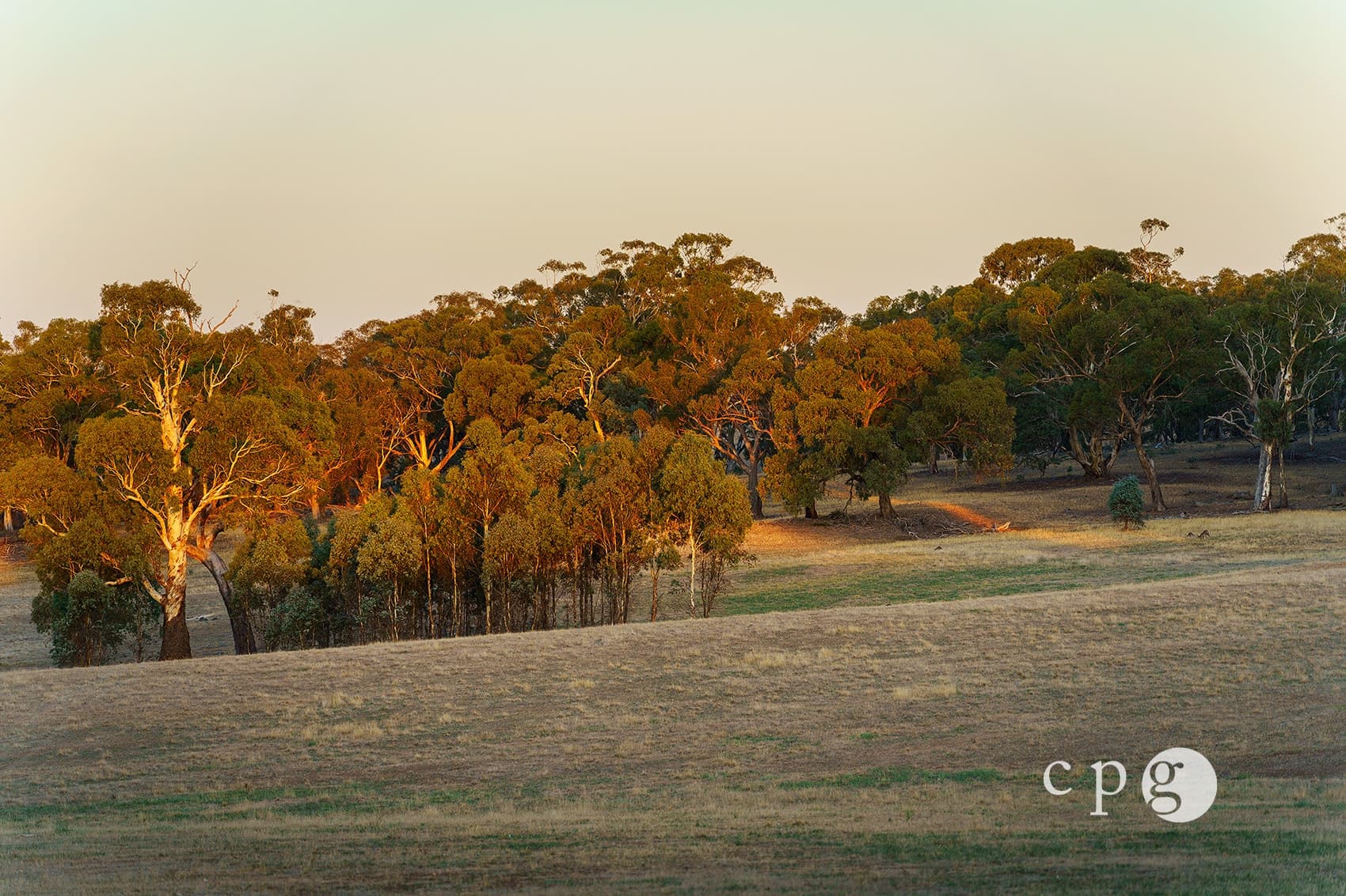 221 Rodborough Road, JOYCES CREEK, VIC 3364, Joyces Creek - Thumbnail 4