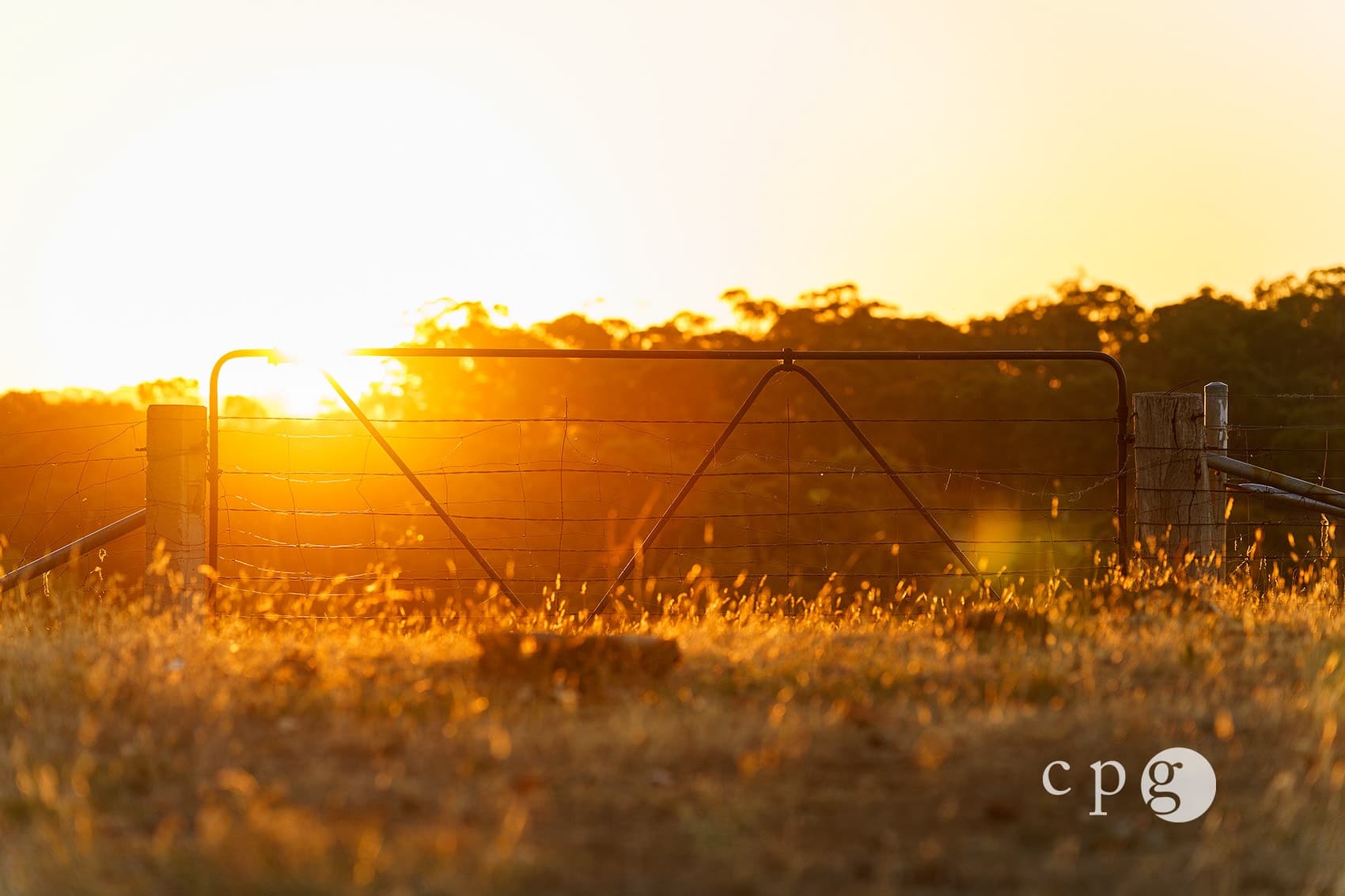221 Rodborough Road, JOYCES CREEK, VIC 3364, Joyces Creek - Thumbnail 6