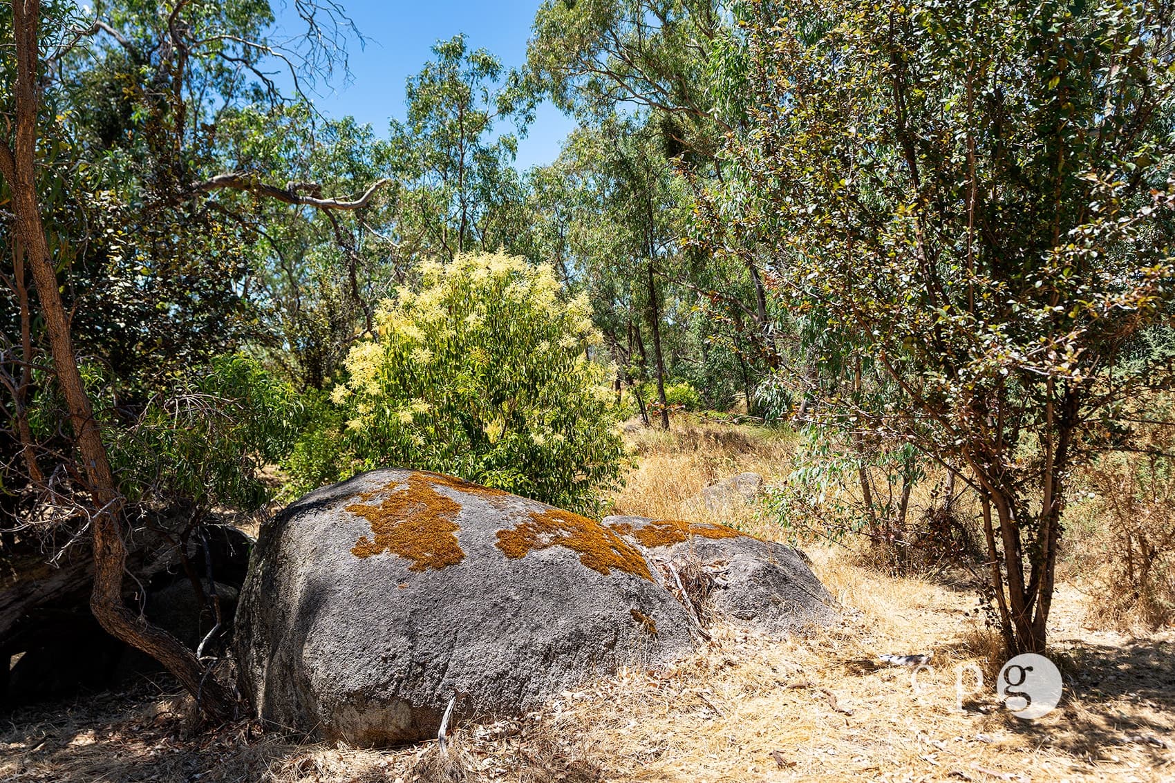 256 Blackjack Road, HARCOURT, VIC 3453, Harcourt - Thumbnail 2