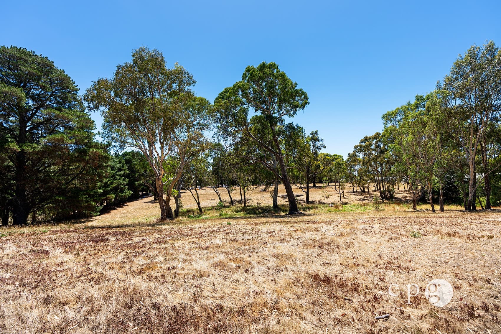 80 Mills Road, HARCOURT, VIC 3453, Harcourt - Thumbnail 2