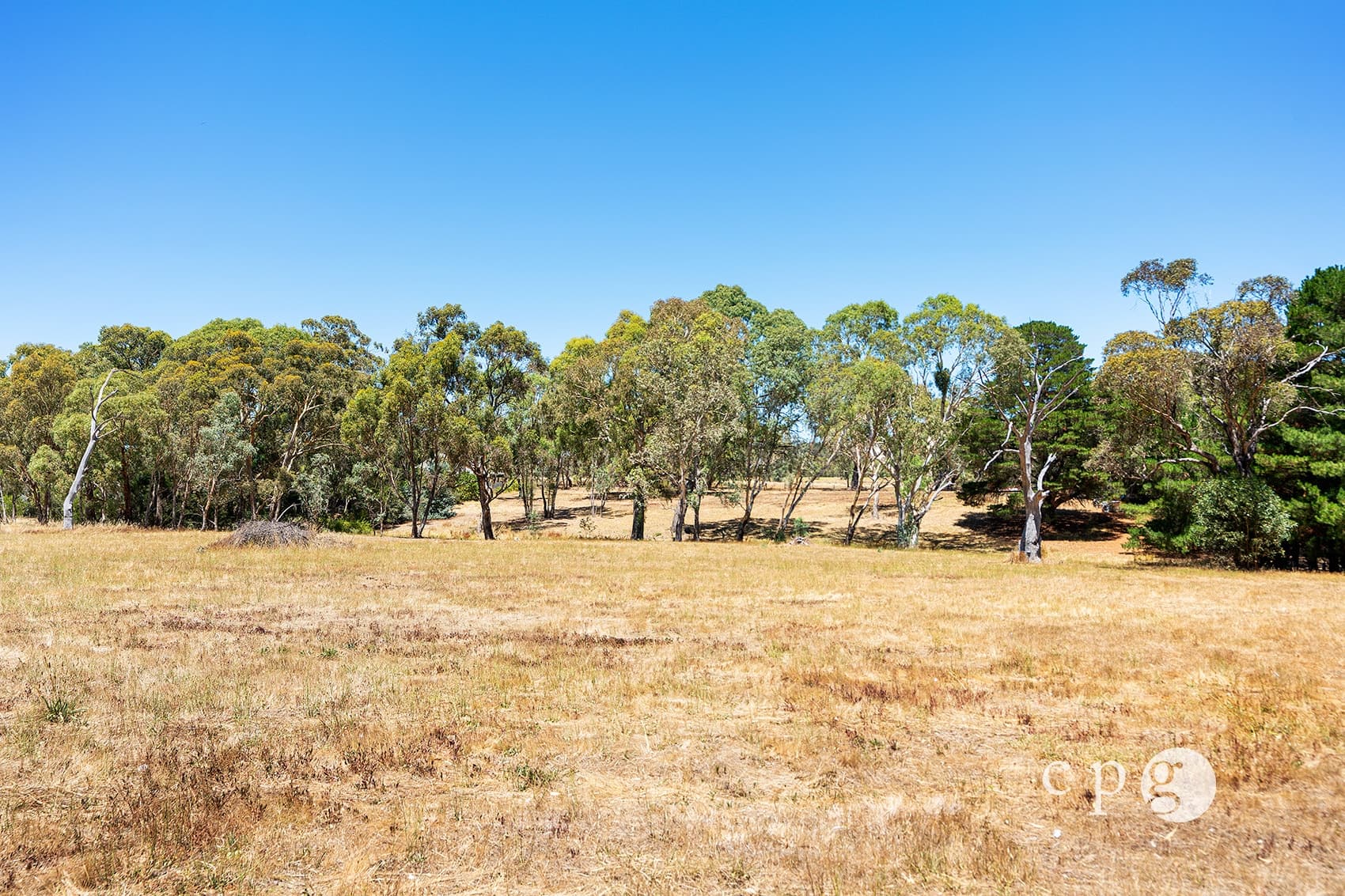 80 Mills Road, HARCOURT, VIC 3453, Harcourt - Thumbnail 5