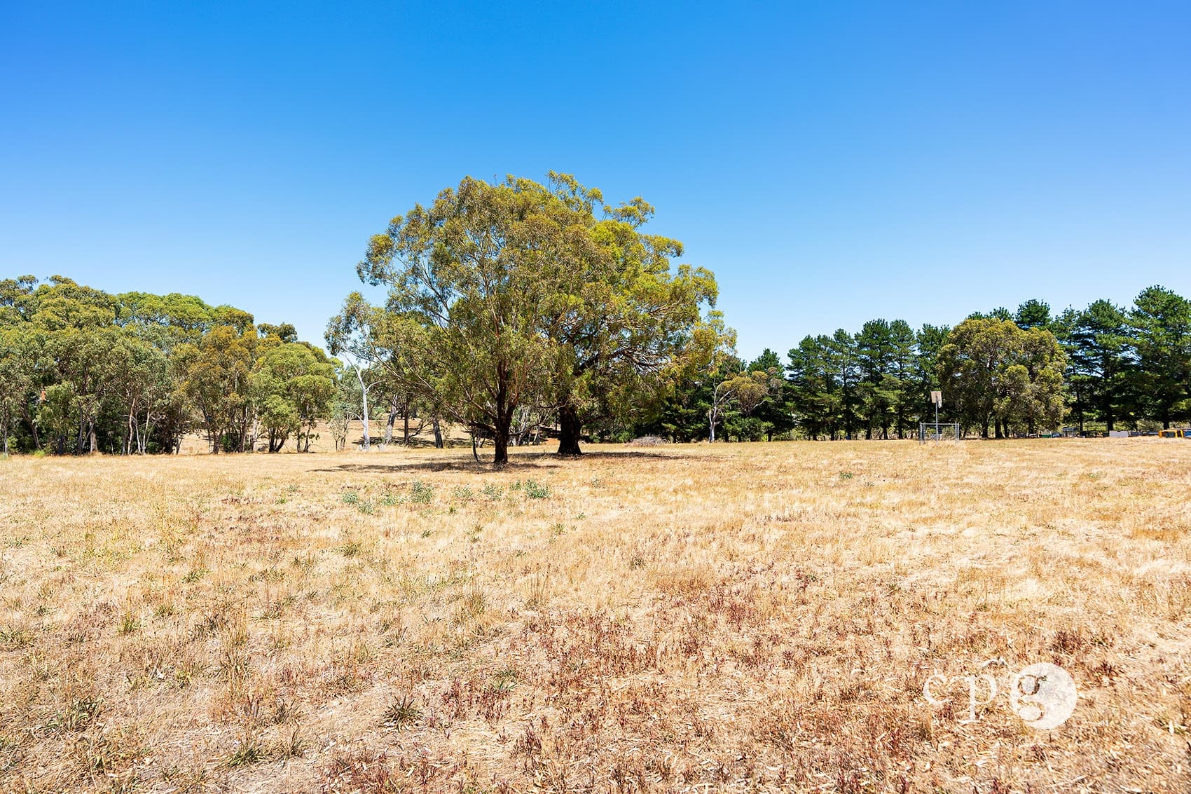 80 Mills Road, HARCOURT, VIC 3453, Harcourt - Thumbnail 6