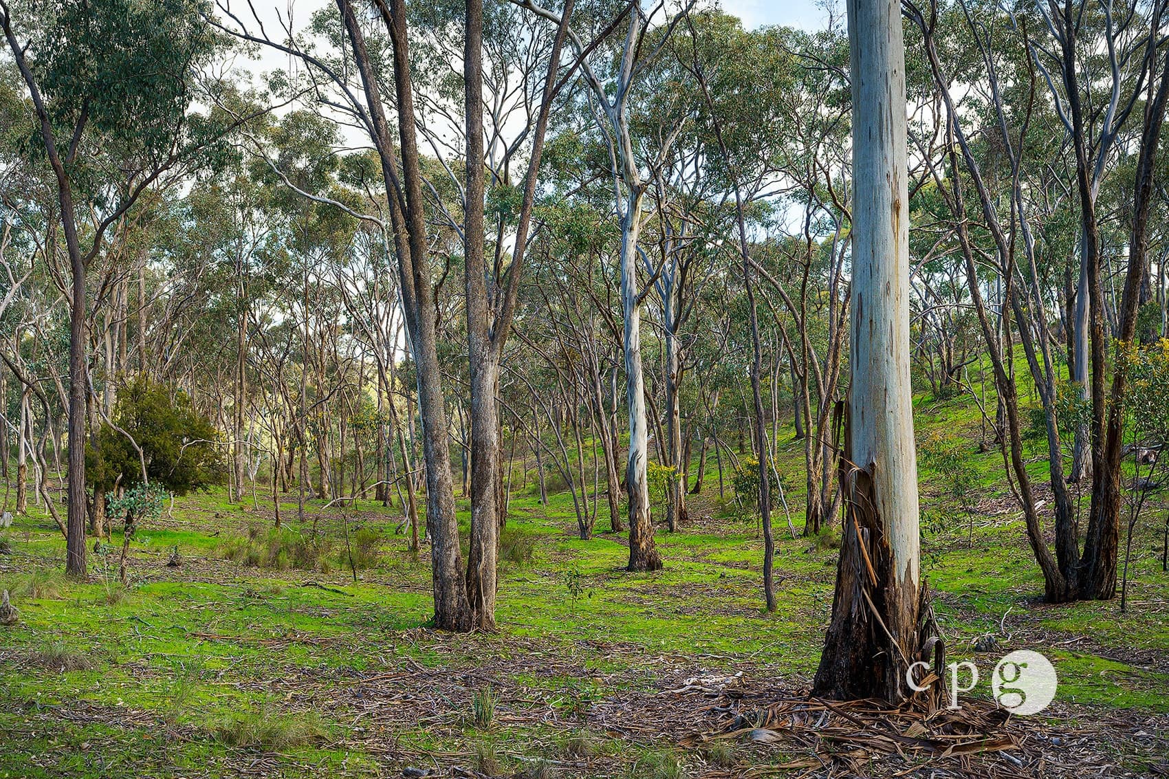 32 Taylor Road, YAPEEN, VIC 3451, Yapeen - Thumbnail 3
