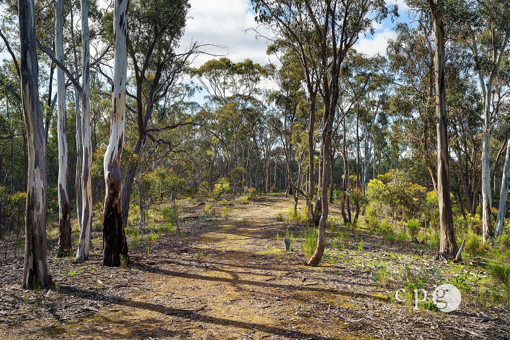 32 Taylor Road, YAPEEN, VIC 3451, Yapeen - Thumbnail 4