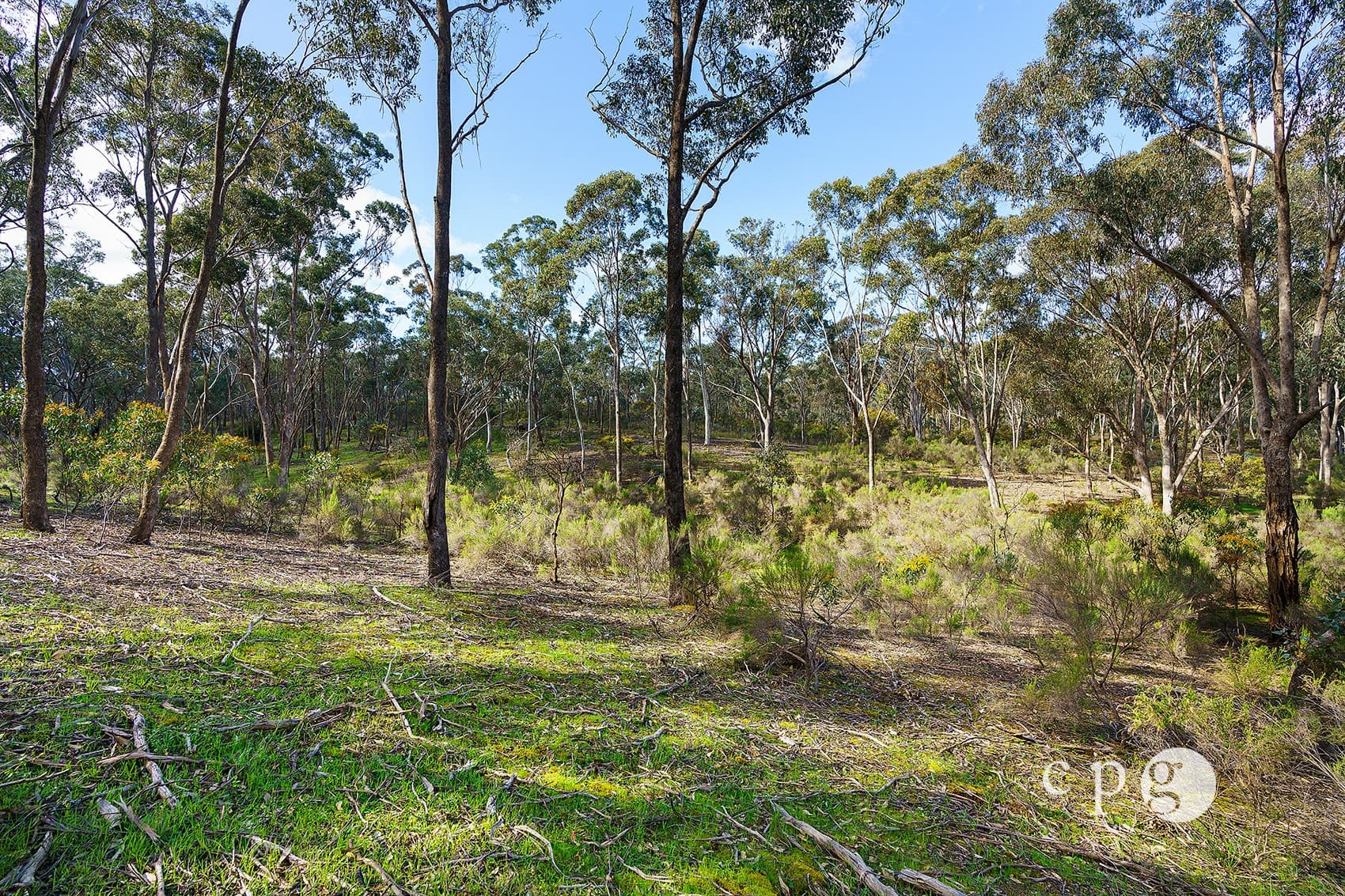 32 Taylor Road, YAPEEN, VIC 3451, Yapeen - Thumbnail 5