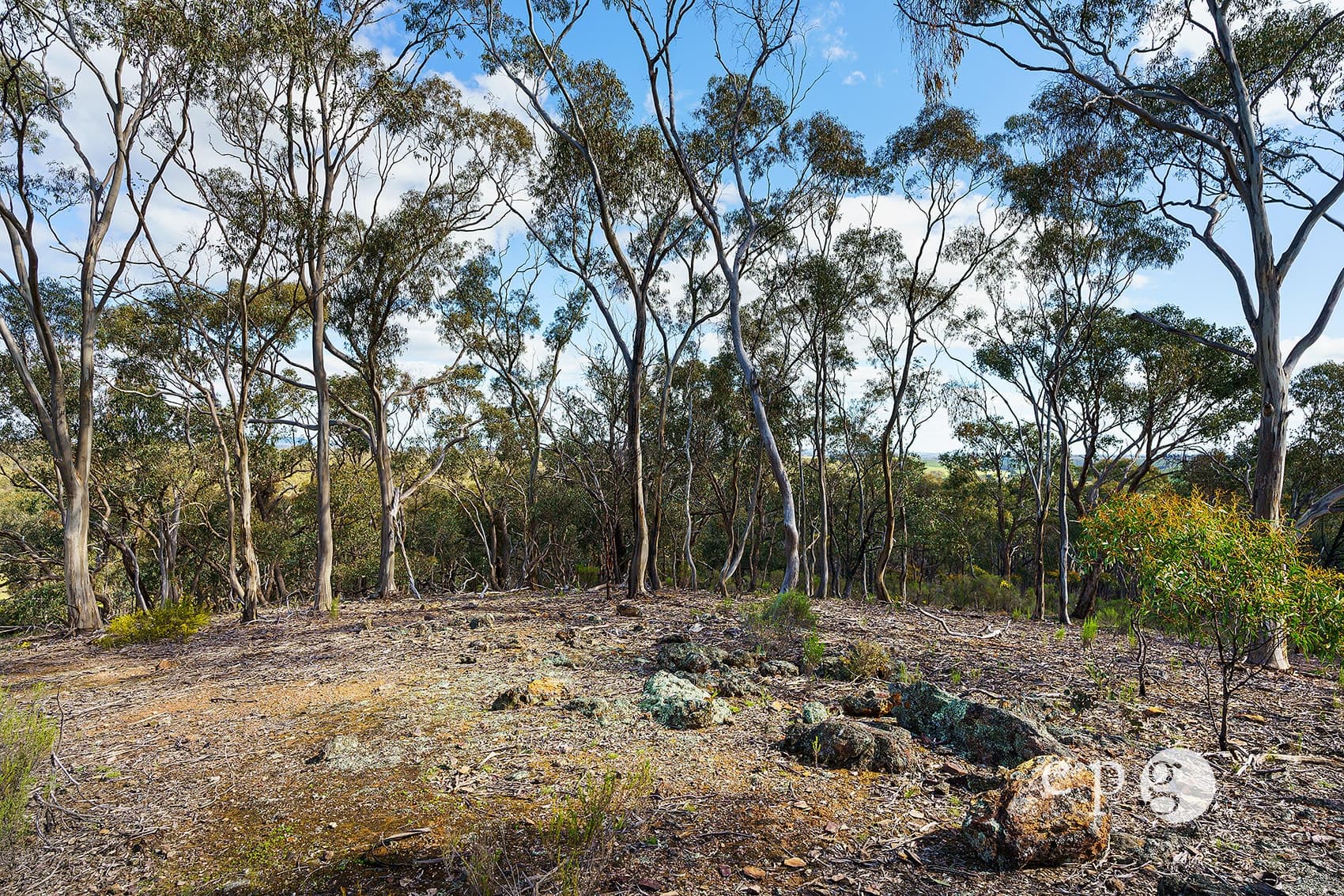 32 Taylor Road, YAPEEN, VIC 3451, Yapeen - Thumbnail 6